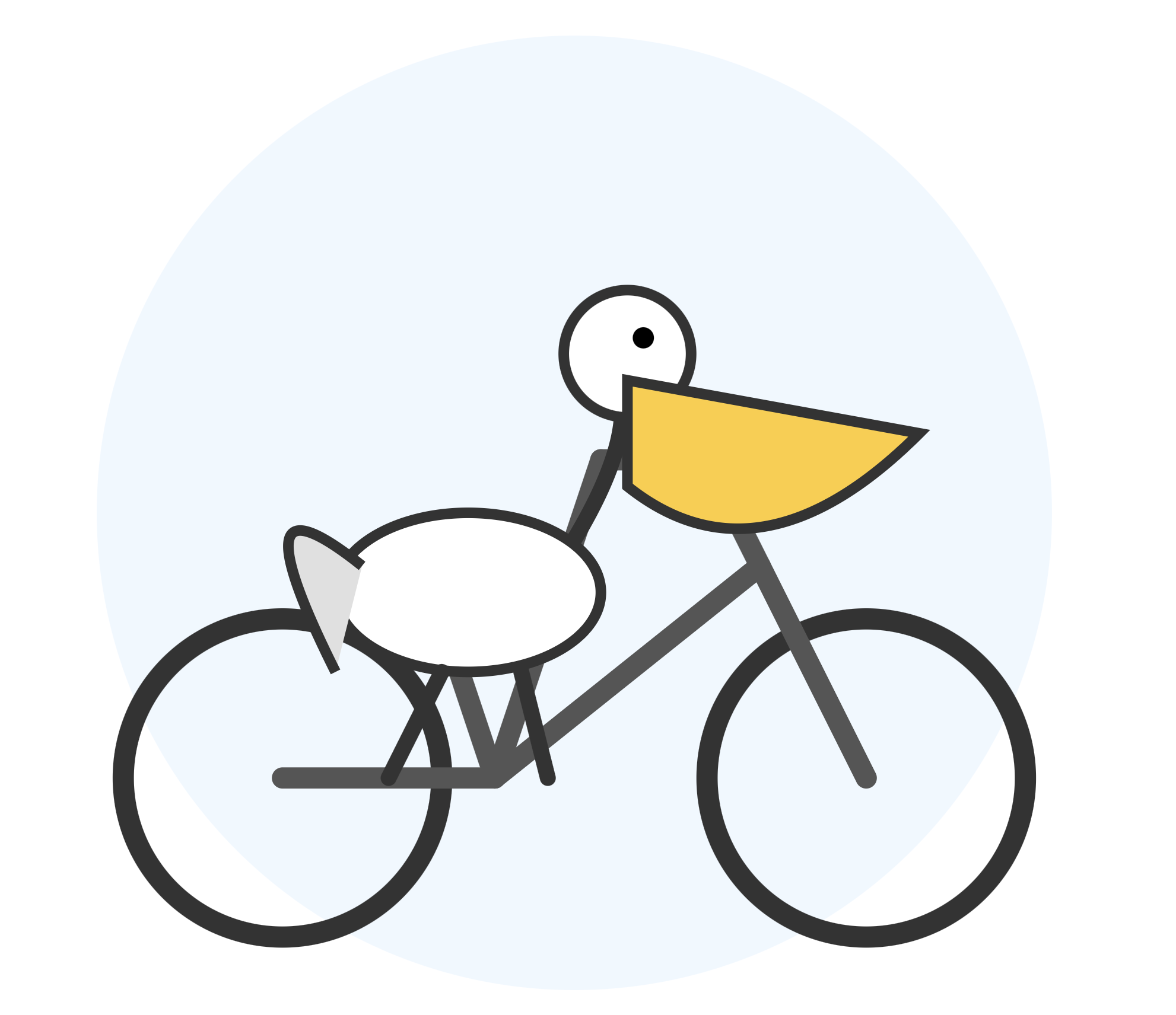 pelican